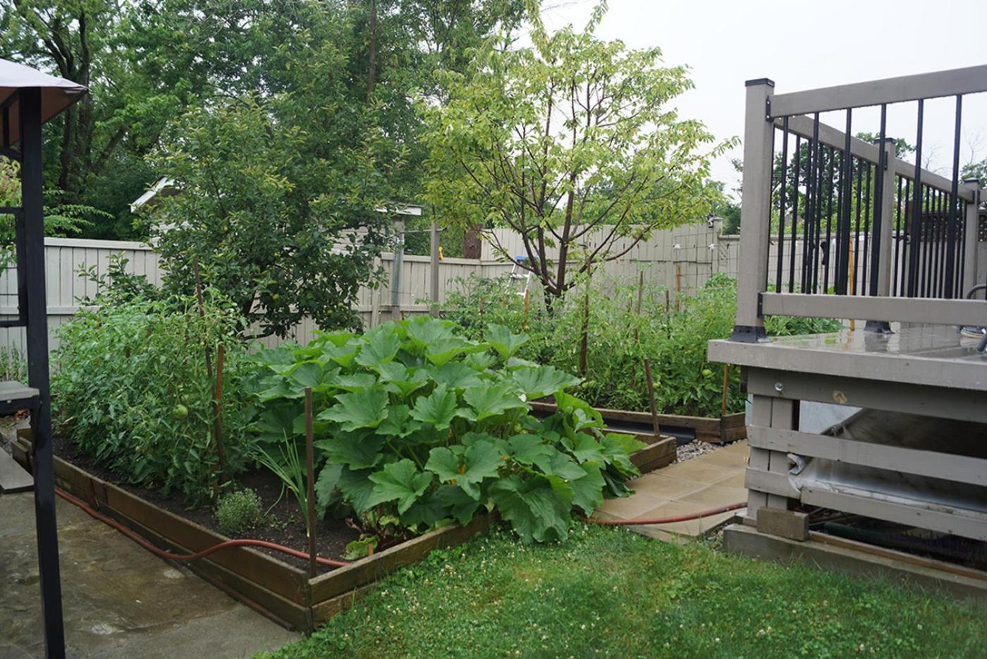 Pelican Guest House. Village Style Living. Spend Vacation Time In Eco Place! 포트이리 외부 사진